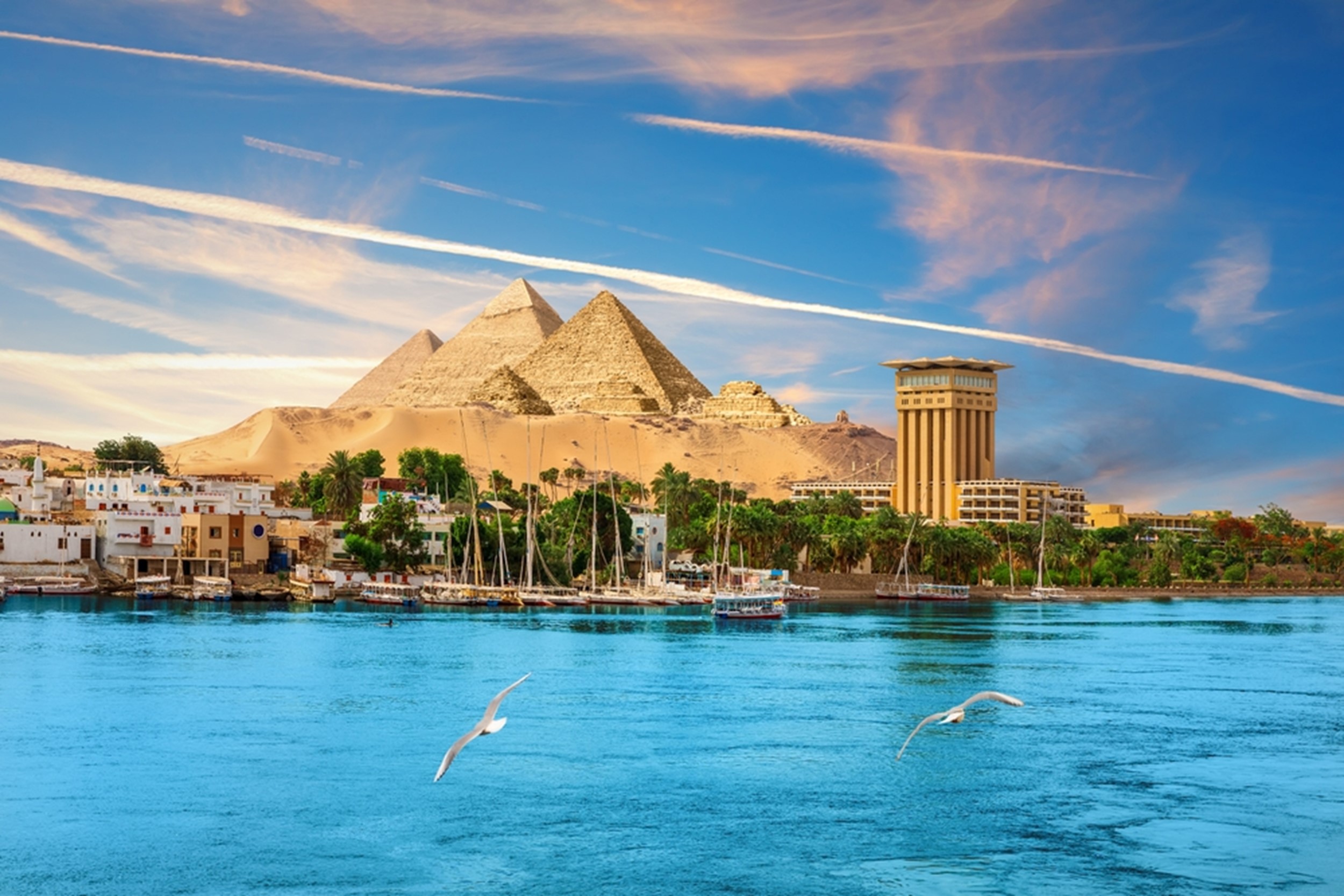 peisaj cu piramidele din Egipt in planul secund si apa cu pescarusi in prim-plan